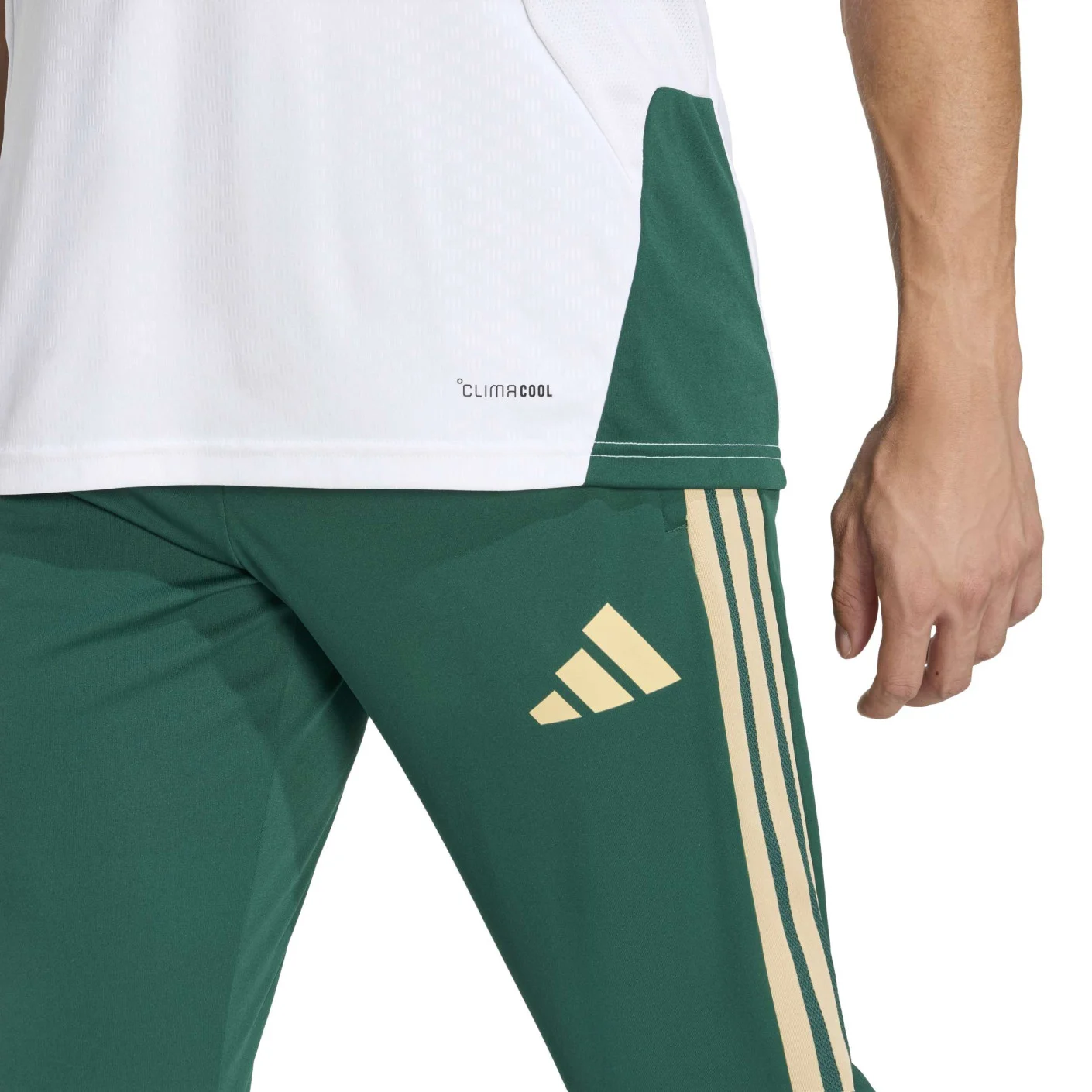 Adidas Italië Trainingsbroek 2026-2028 Groen Wit Goud Adidas Italië Trainingsbroek 2026-2028 Groen Wit Goud - Afbeelding 3