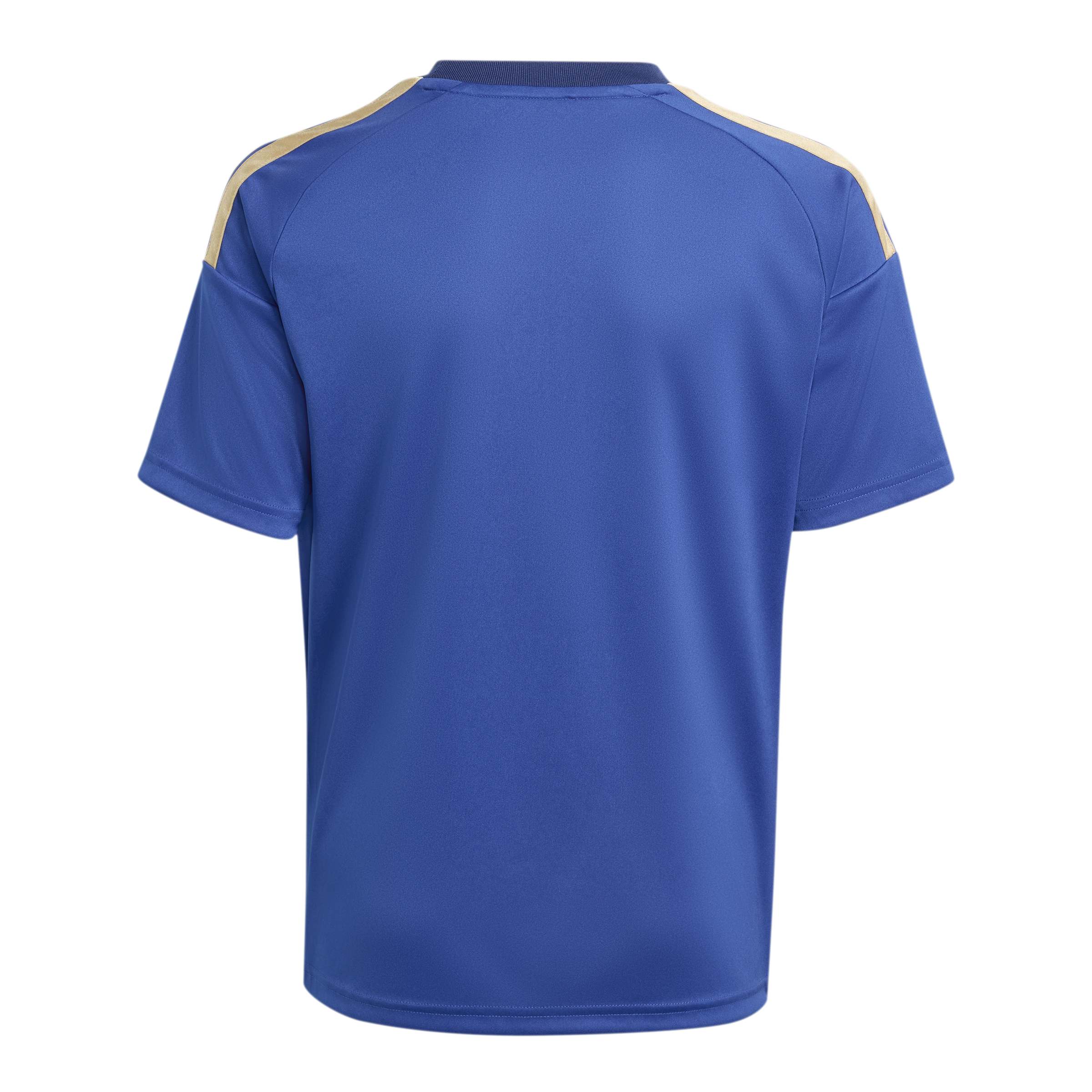 Adidas Italië Thuisshirt Fans 2026-2028 Kids Adidas Italië Thuisshirt Fans 2026-2028 Kids - foto 9