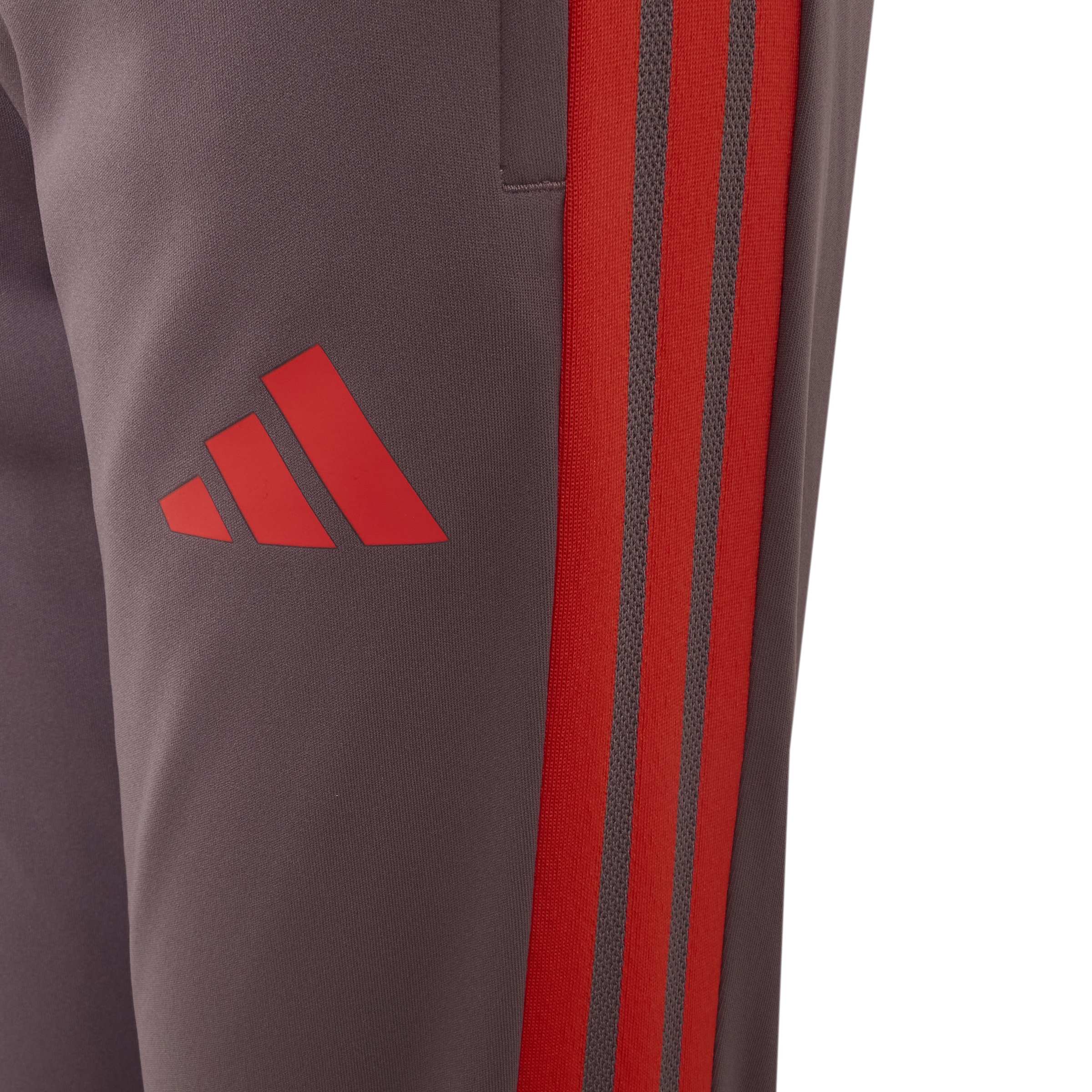 Adidas Bayern München Europees Trainingsbroek 2026-2027 Kids Lichtpaars Zwart Rood Adidas Bayern München Europees Trainingsbroek 2026-2027 Kids Lichtpaars Zwart Rood - foto 5